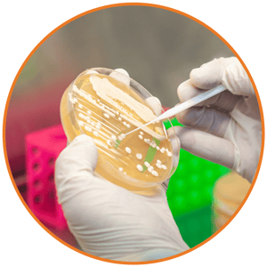 Microbiological Testing