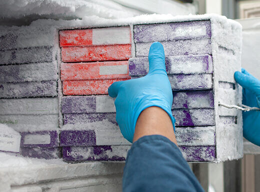 WL_ImageAsset_YeastBank_02_ser-1671081018 WL_ImageAsset_YeastBank_02_ser-1671081018
