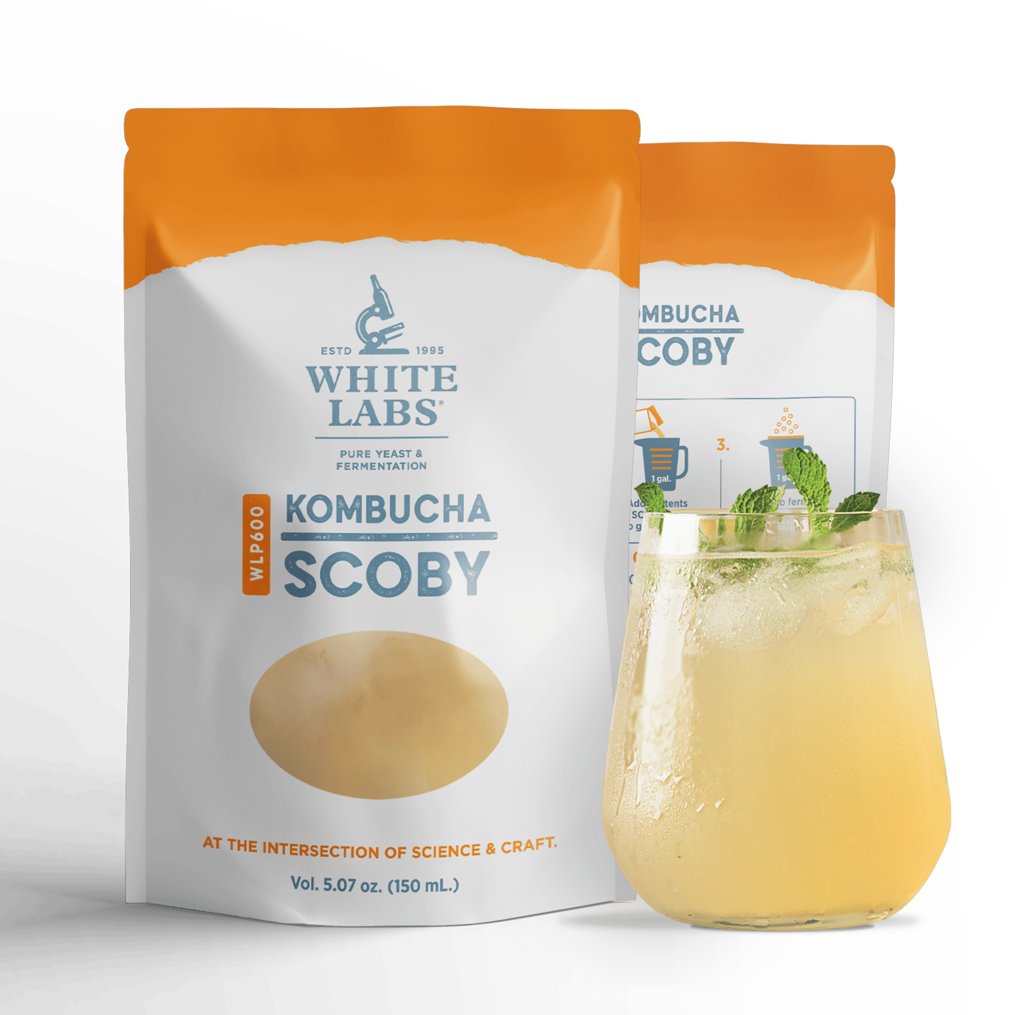 WL_WLP600_HB_Scoby_DUAL_01 WL_WLP600_HB_Scoby_DUAL_01