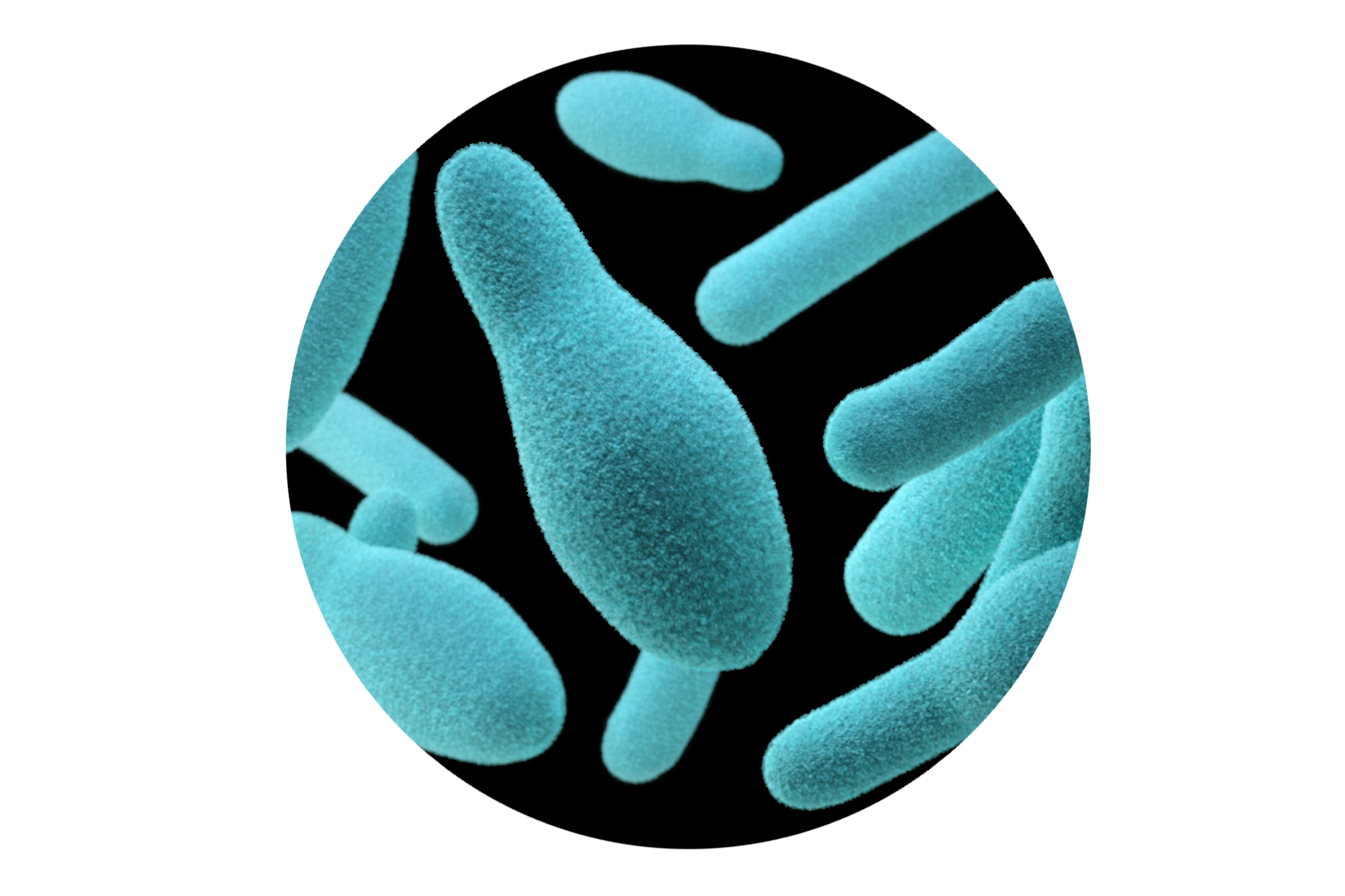 microscopic-closeup-of-bacteria-and-microbes-2025-02-02-20-05-30_circle)v2