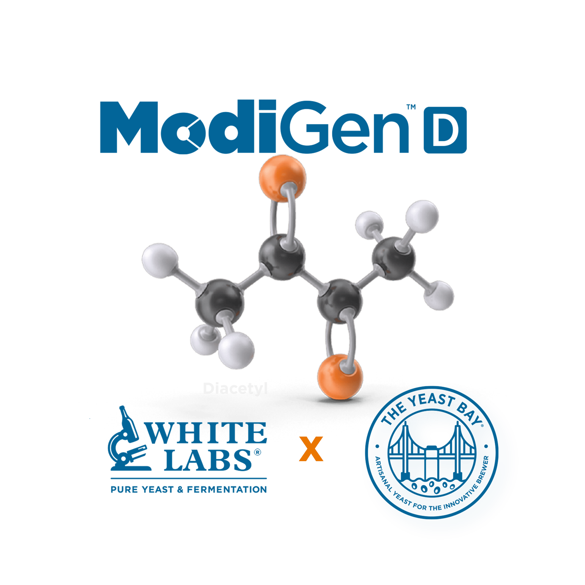 ModiGen Diacetyl model with logos ModiGen Diacetyl model with logos