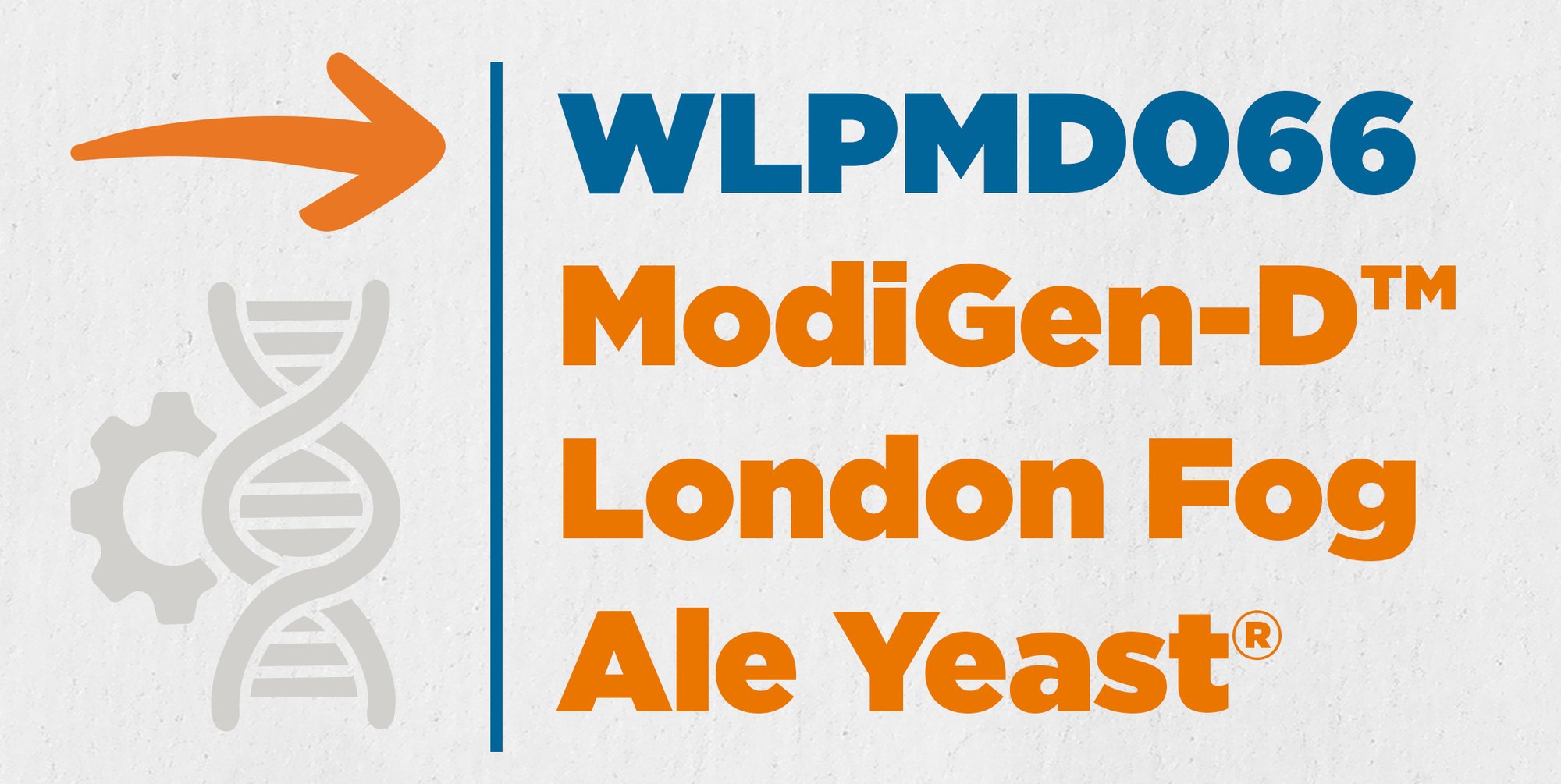 Strain_Cards_WLPMD066_London Strain_Cards_WLPMD066_London