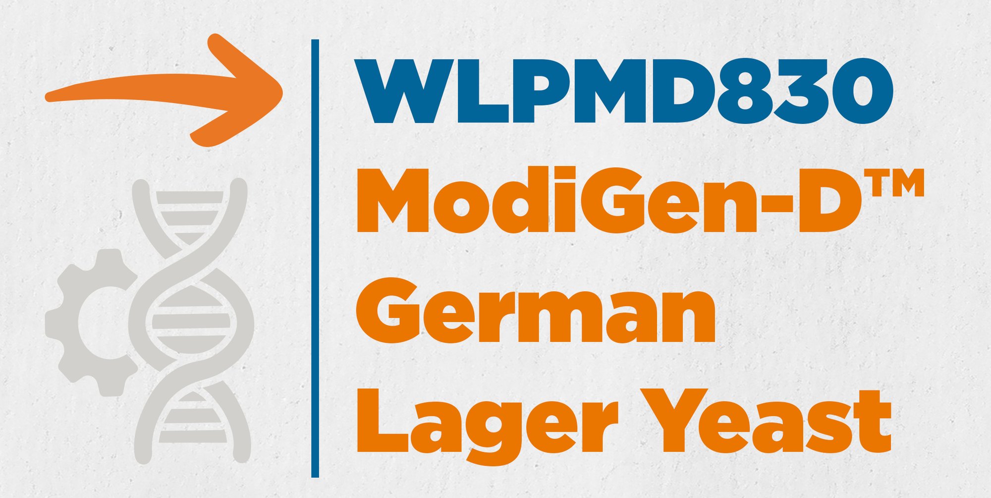 Strain_Cards_WLPMD830_German Strain_Cards_WLPMD830_German