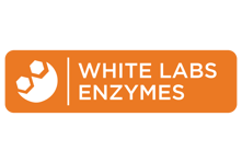 WL_Enzyme ICON_01