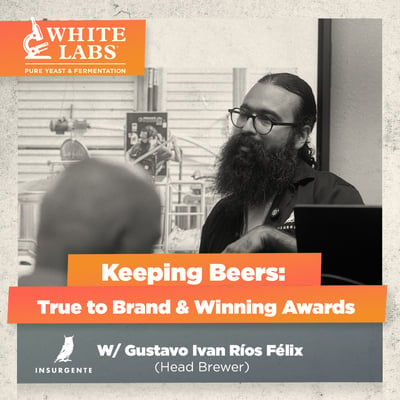 Featured image: Keeping Beers: True to Brand & Winning Awards