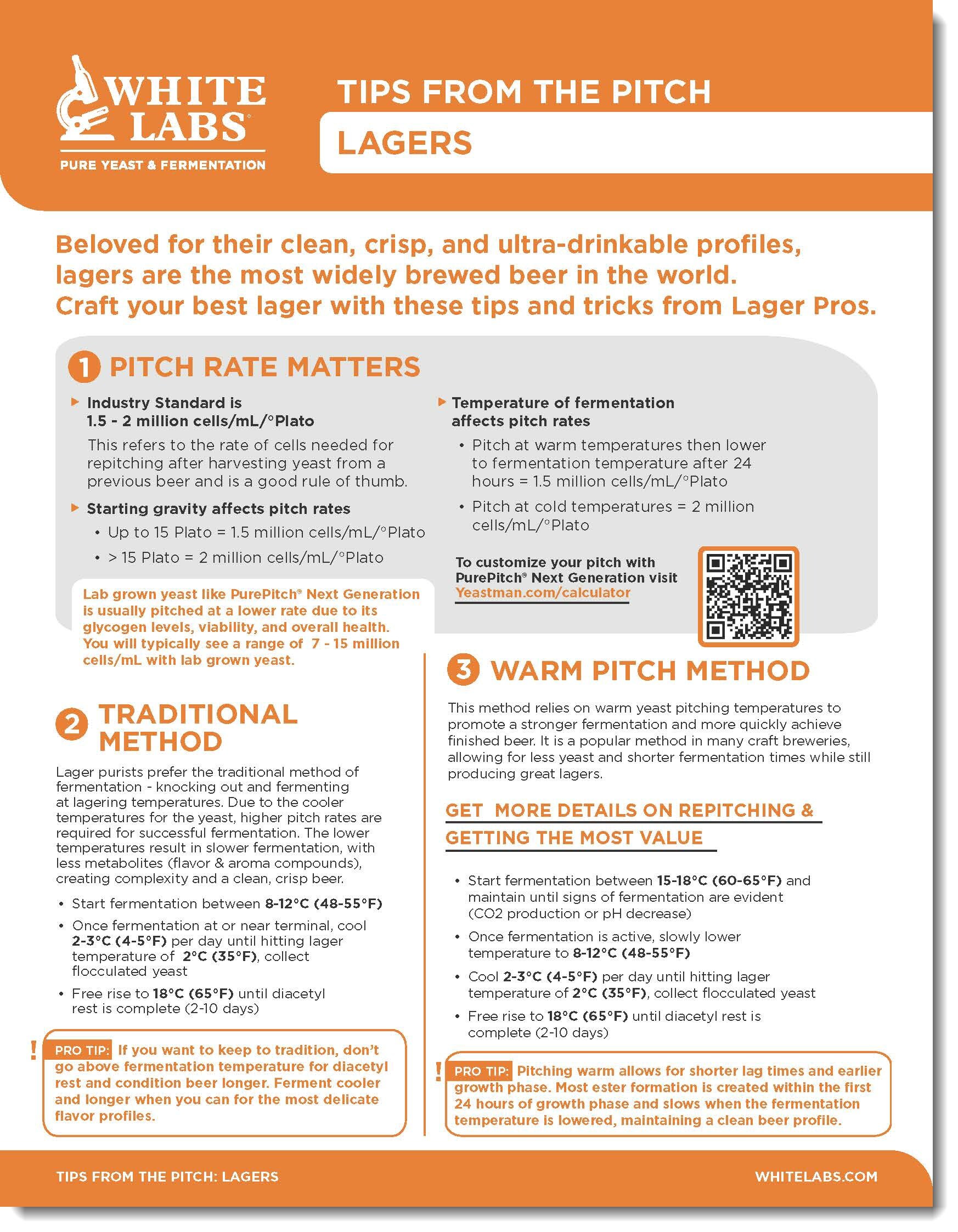 Tips From The Pitch - Lagers Tips From The Pitch - Lagers
